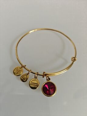ALEX AND ANI BRACLET